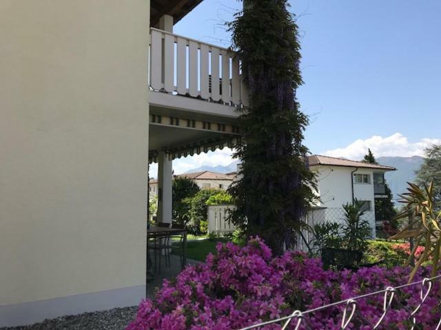 הוילה Gambarogno Casa Al Castagno מראה חיצוני תמונה